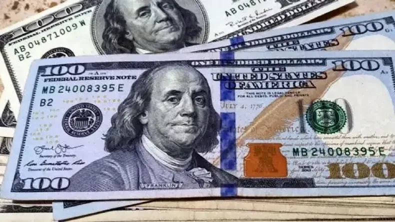 Frías: una jubilada denunció el robo de U$S 75.000 en su vivienda