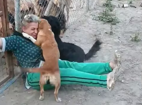 Emotiva Bienvenida en el Refugio de Animales