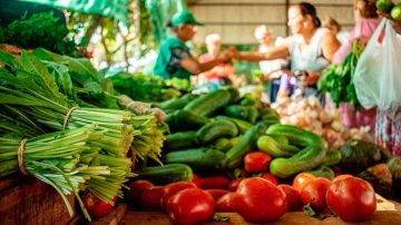 Los precios de los agroalimentos se multiplicaron por 3,1 en julio