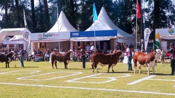 Comenzó con éxito la 17° ExpoBra en el Vivero San Carlos