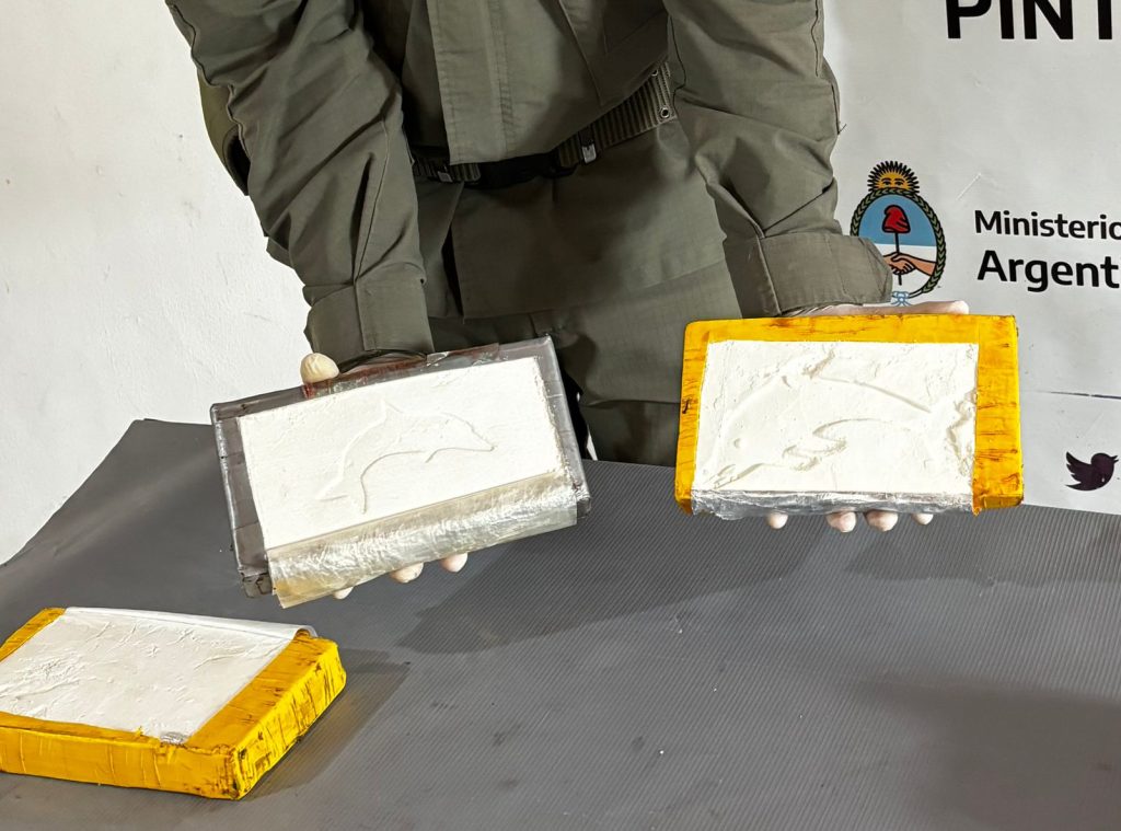 Dos salteños transportaban más de 50 kilos de cocaína con la marca del delfín, sello del “Patrón del Norte”