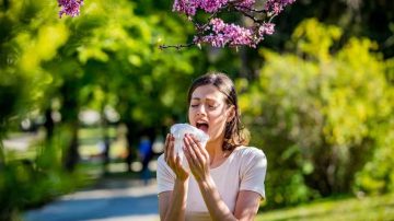 Sos alérgico y llegó la primavera: consejos para combatirla