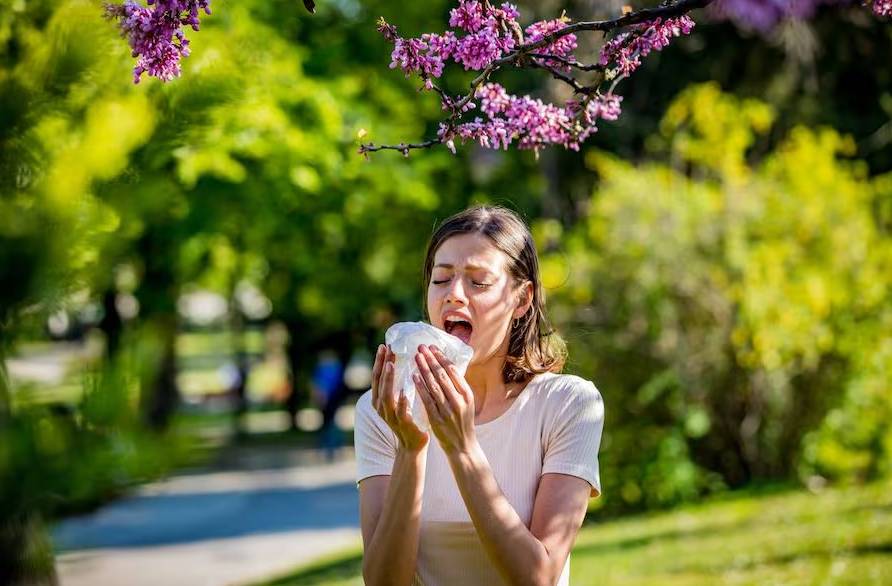 Sos alérgico y llegó la primavera: consejos para combatirla