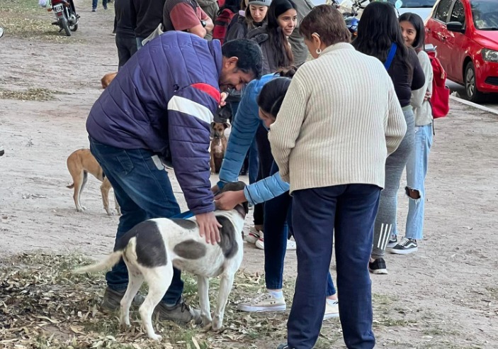 Se viene una jornada de castraciones solidarias en el monte de Santiago del Estero: cómo conseguir turno