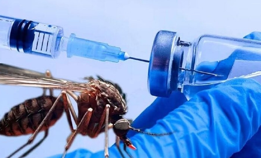 Vacunas gratis contra el dengue: adolescentes de entre 15 y 19 años serán los primeros en recibirla