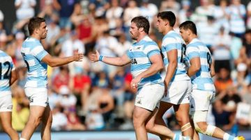 Toda la agenda deportiva con Los Pumas como plato fuerte