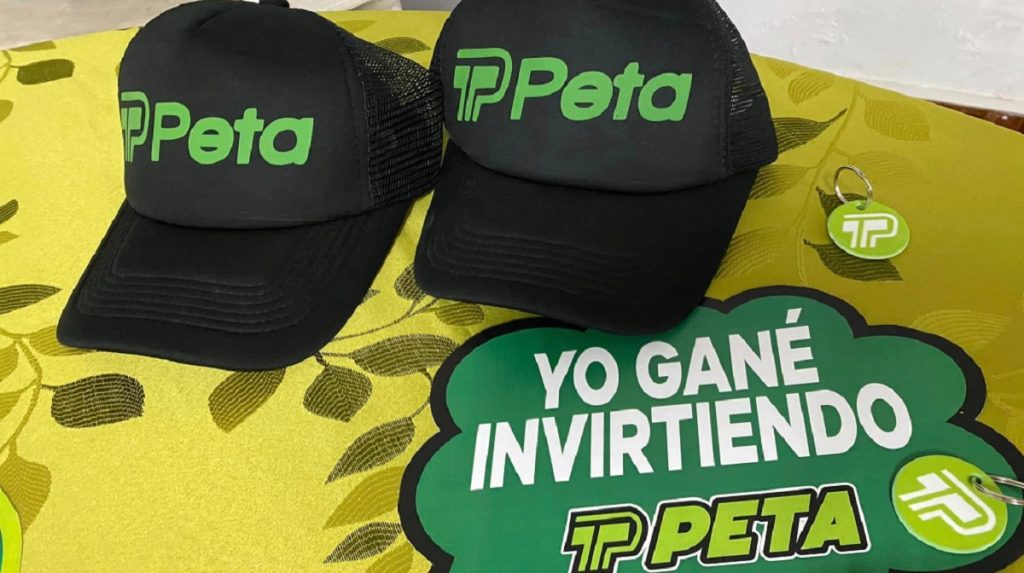 La aplicación cayó en julio de 2024