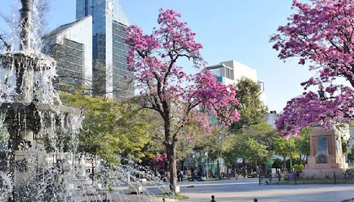 Pronostican un lunes primaveral con 31°C de máxima en Santiago del Estero