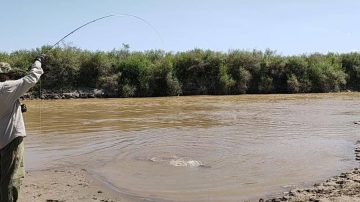 Un pescador sufrió un ataque de delincuentes que lo apuñalaron por la espalda en el Río Dulce