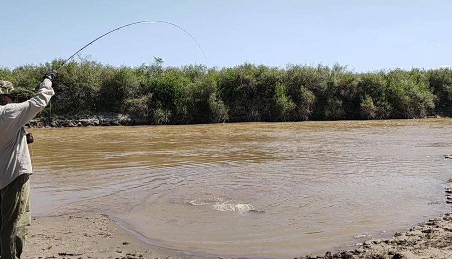 Un pescador sufrió un ataque de delincuentes que lo apuñalaron por la espalda en el Río Dulce