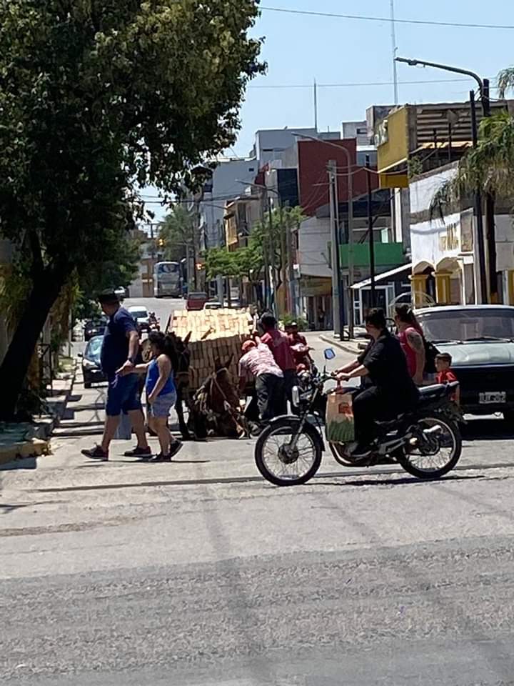 Indignación en Las Termas por un caso de maltrato animal extremo