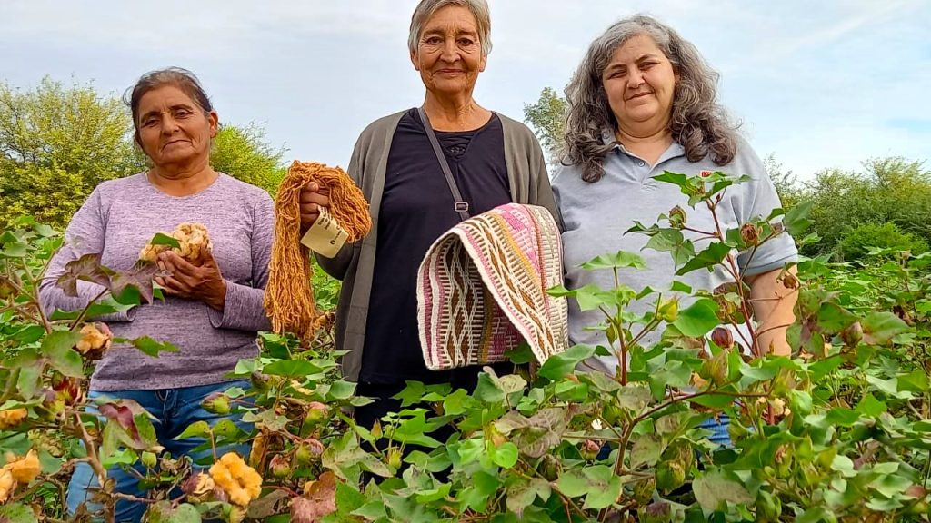 Orgullo santiagueño: técnica del INTA nominada a los Premios “Lía Encalada” de Mujeres de la Ruralidad Argentina