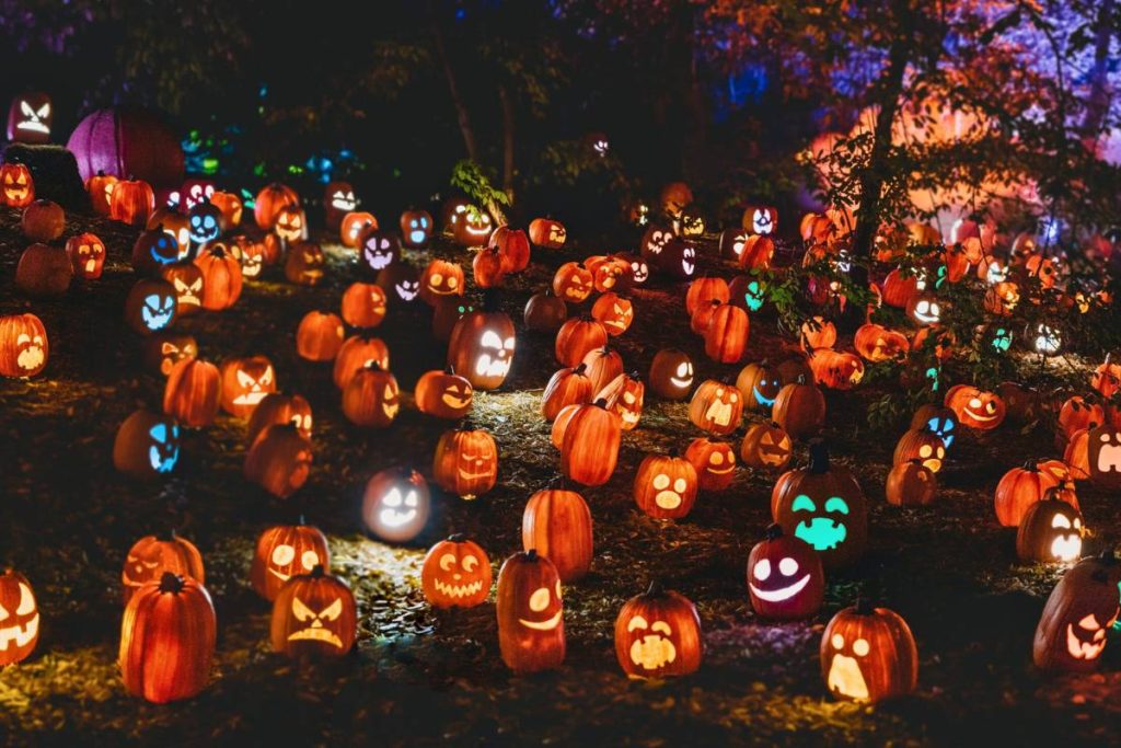 Cine de terror en El Observatorio y otras propuestas para disfrutar de Halloween con los más pequeños