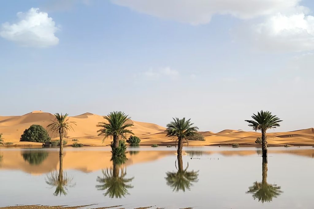 Se inundó el desierto de Sahara: Mirá las imágenes