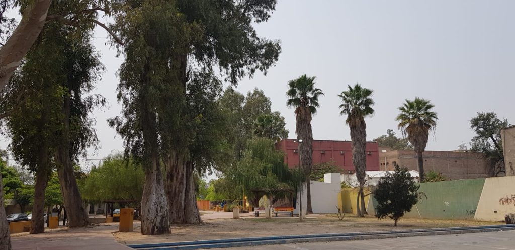 Sábado agradable en Santiago del Estero con máxima de 31 grados