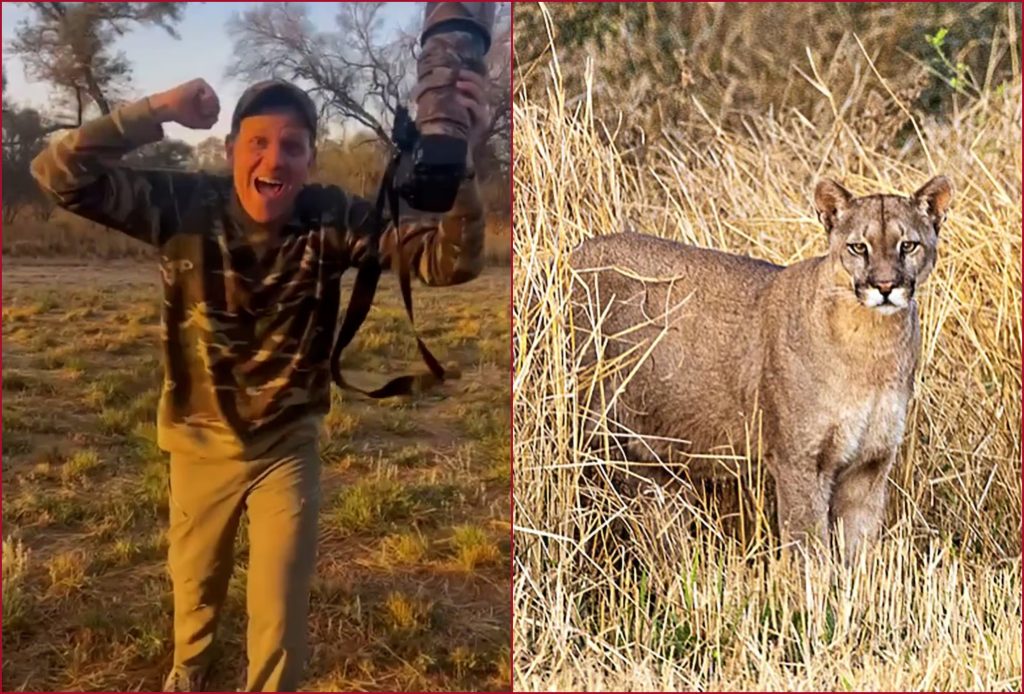 Un puma fotografiado en Campo Gallo se hizo viral en todo el país