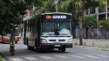 Un chofer bajó del colectivo a una persona con discapacidad por una polémica medida y generó indignación entre los pasajeros