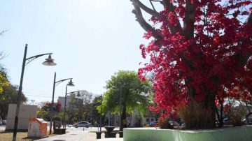 Pronóstico del tiempo en Santiago del Estero: martes soleado y máxima de 25 grados