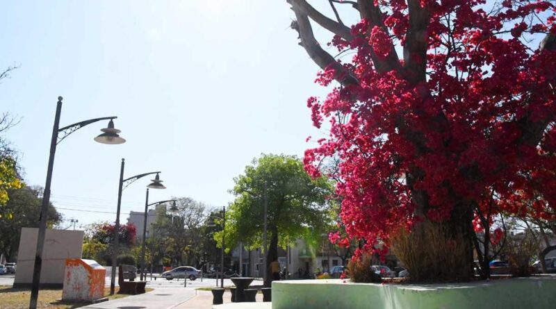 Pronóstico del tiempo en Santiago del Estero: martes soleado y máxima de 25 grados