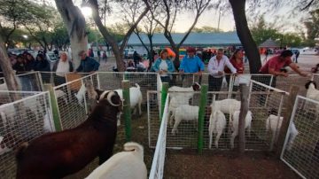 Ultiman detalles para la Expo Rural Sumampa 2024: una celebración de integración y desarrollo