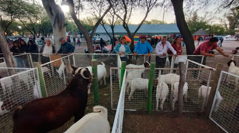 Ultiman detalles para la Expo Rural Sumampa 2024: una celebración de integración y desarrollo