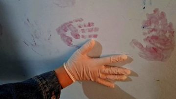Rescataron a 70 niños y detuvieron a más de 20 personas en un megaoperativo contra el tráfico y la producción de pornografía infantil