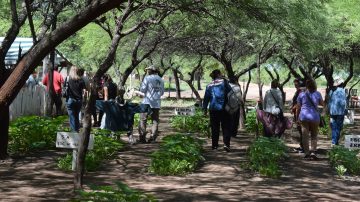 Recuperando prácticas: exitosa capacitación sobre autoproducción de semillas en Añatuya