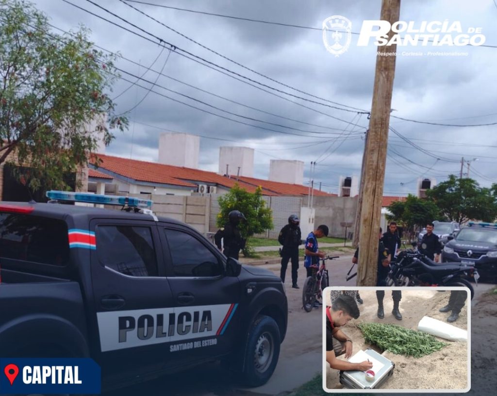 Caminaba con una planta de cannabis y lo demoró la Policía