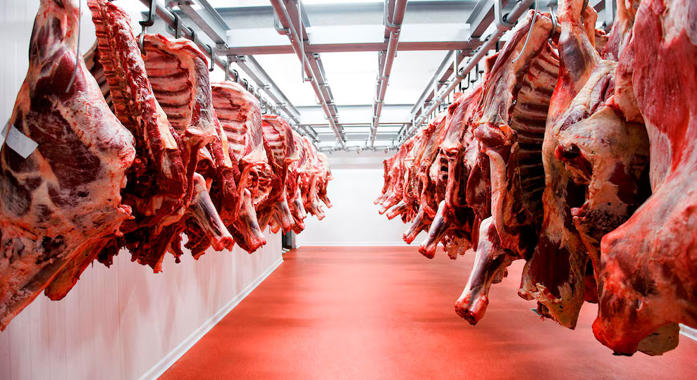 Las exportaciones de carne bovina aumentaron un 15% y generaron casi US$ 2.500 millones en lo que va del año