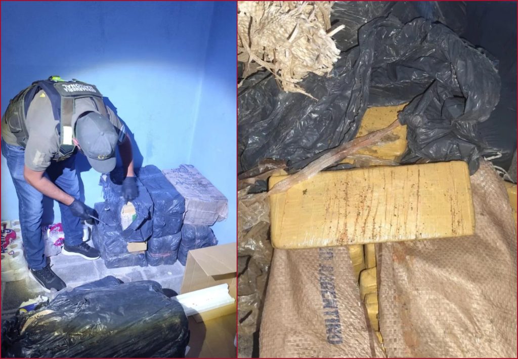 Secuestran más de 300kg de marihuana en megaoperativo