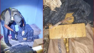 Secuestran más de 300kg de marihuana en megaoperativo