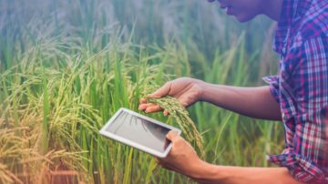 Monte Quemado será sede de un Taller de Comercialización y Marketing Digital