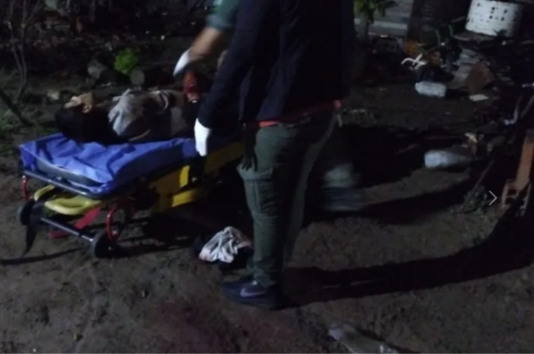 Fue salvajemente atacado por los perros al intentar robar una casa
