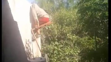 Infraganti: ladrón se llevaba un lavarropas hasta que advirtió que lo estaban grabando