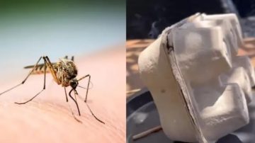 Hizo fuego con cartón de un maple para espantar mosquitos y terminó incendiando su habitación