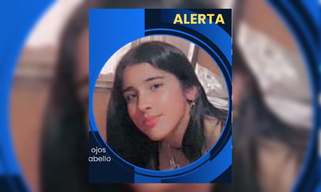 Fernández en alerta por la desaparición de una menor: la buscan intensamente