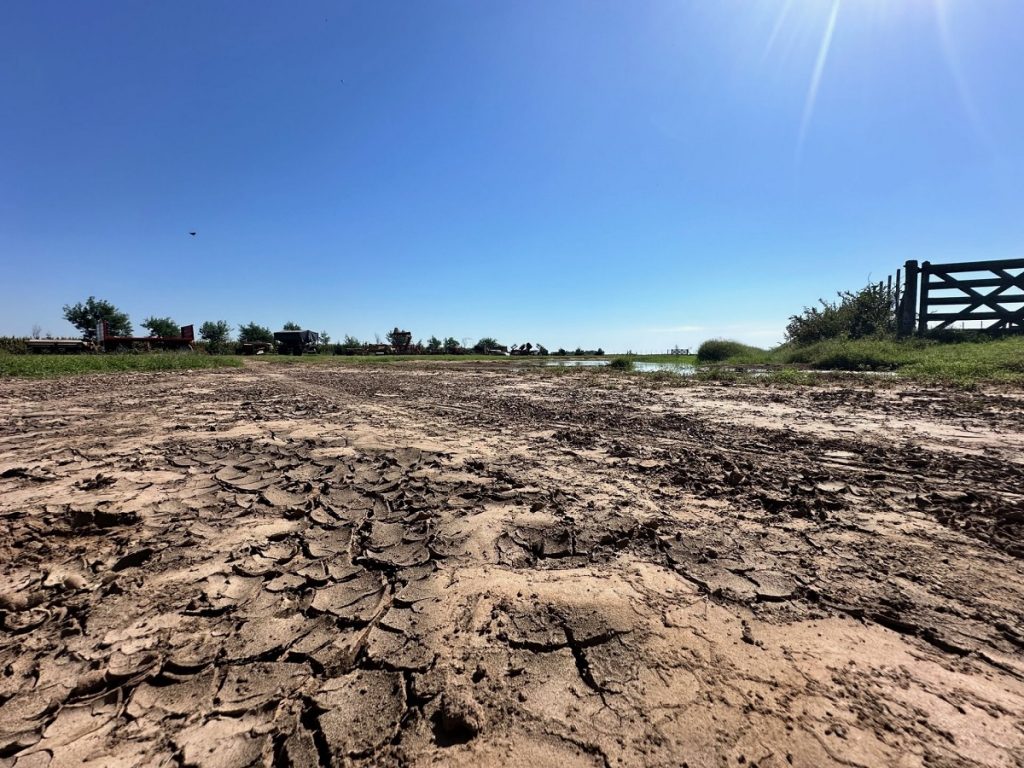El fenómeno “La Niña” llega a Argentina: qué provocará y cómo afectará a Santiago