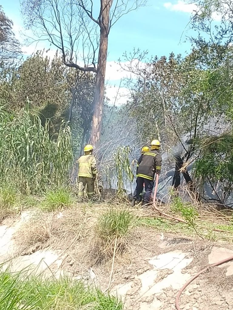 Bomberos controlan peligroso incendio de pastizales en el barrio Siglo XXI