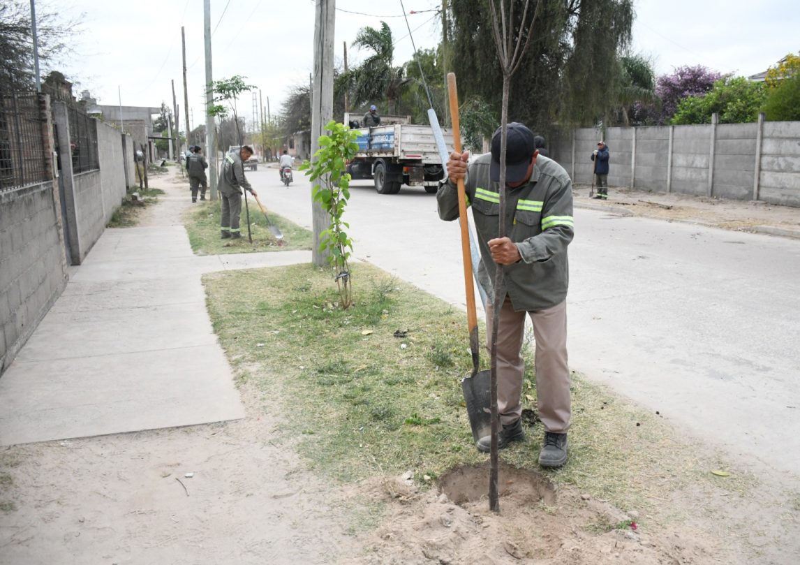 La capital santiagueña cumplió en el 2024 con la plantación de más de 60.000 árboles