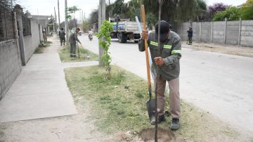 La capital santiagueña cumplió en el 2024 con la plantación de más de 60.000 árboles