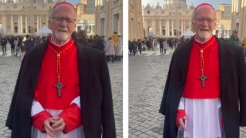 El cardenal Bokalic participará del primer consistorio del Papa León XIV en Roma
