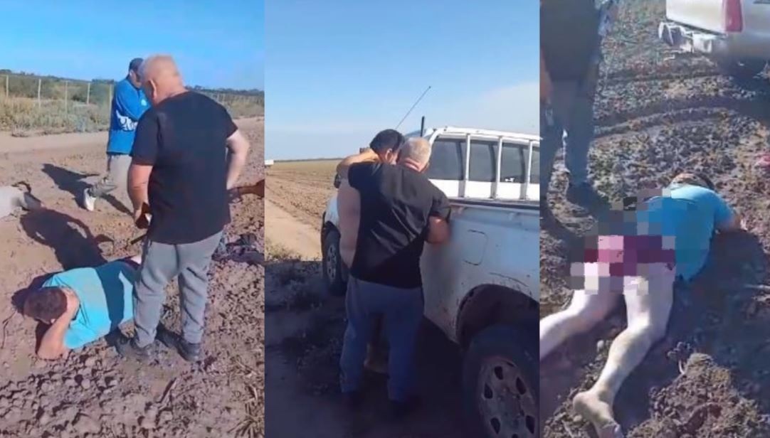 “Quédate tranquilo, ‘Pichi’ ya habló con el Juez, está todo arreglado”