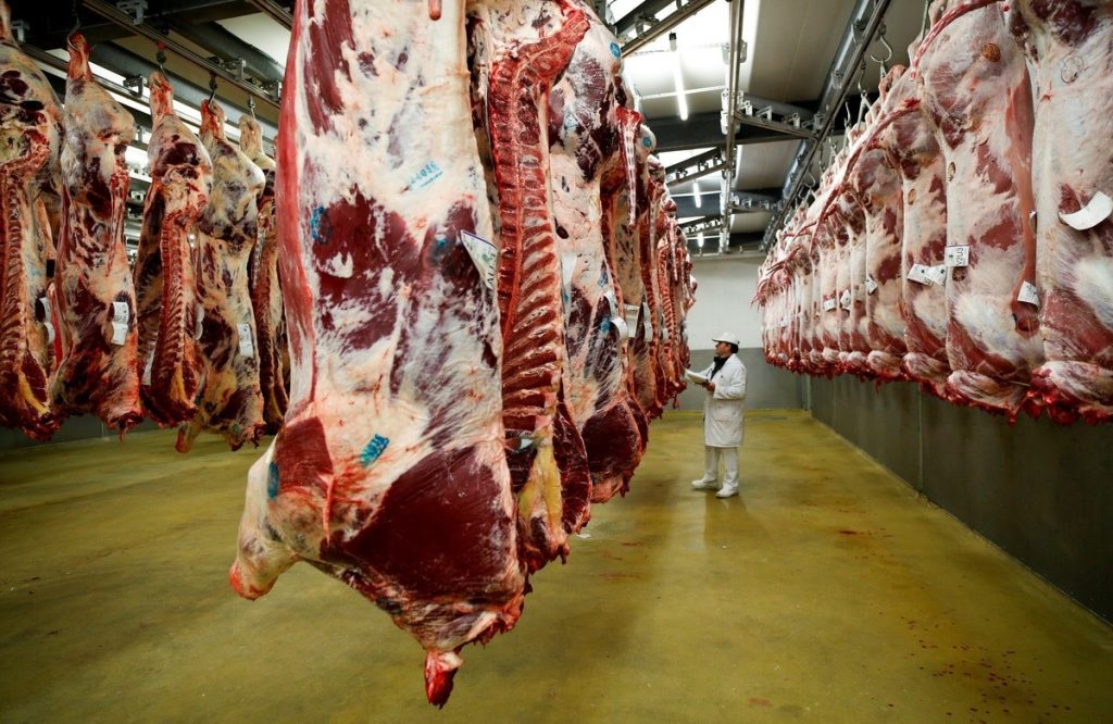 Cada vez más familias argentinas eligen comprar media res de carne para ahorrar dinero