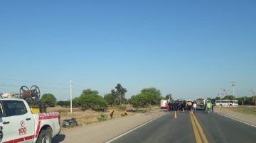 Ruta 5: niño conducía una moto, lo embistieron y falleció