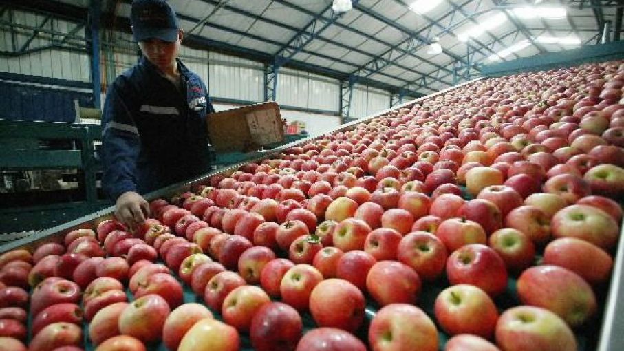 Subieron las exportaciones regionales: alcanzaron en octubre un total de U$S 8.777 millones