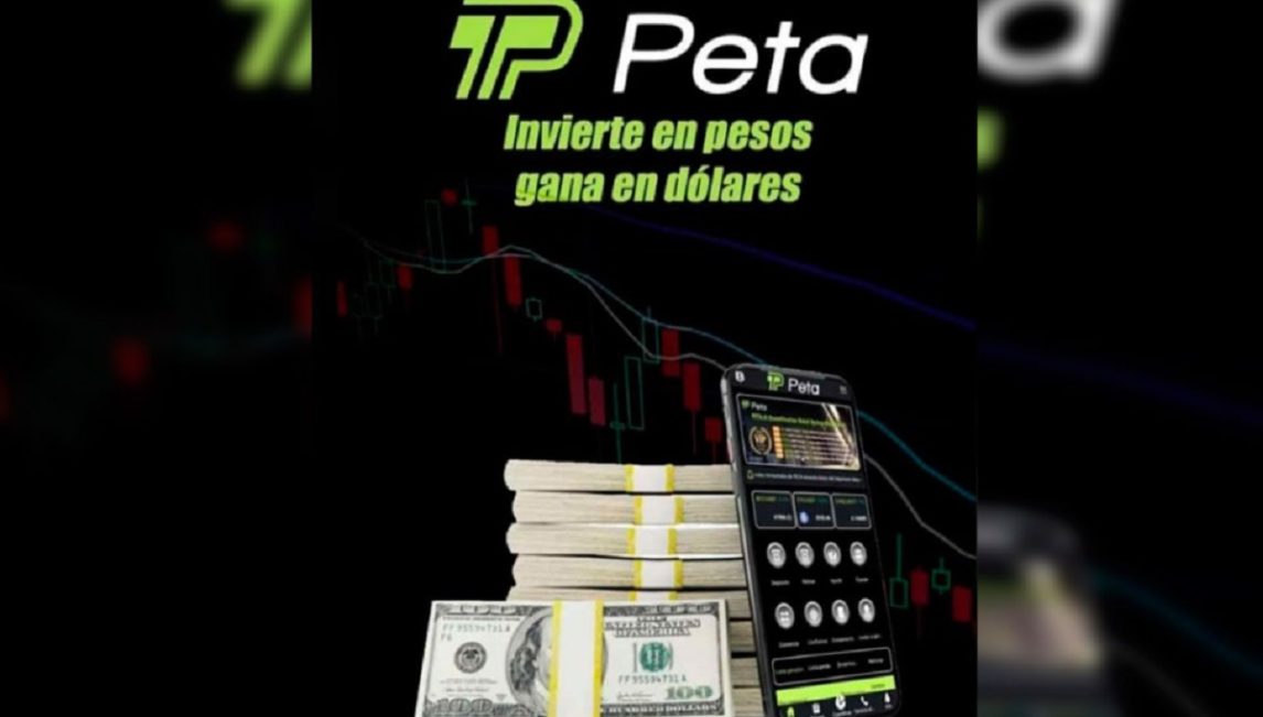 “La cúspide es indetectable”: La Dra. Miryam Romagnoli analizó la estructura detrás de la estafa de PETA