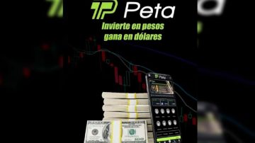 “La cúspide es indetectable”: La Dra. Miryam Romagnoli analizó la estructura detrás de la estafa de PETA