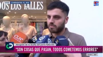 Maltrato animal: se olvidó a su perro dentro del auto y lo encontró muerto