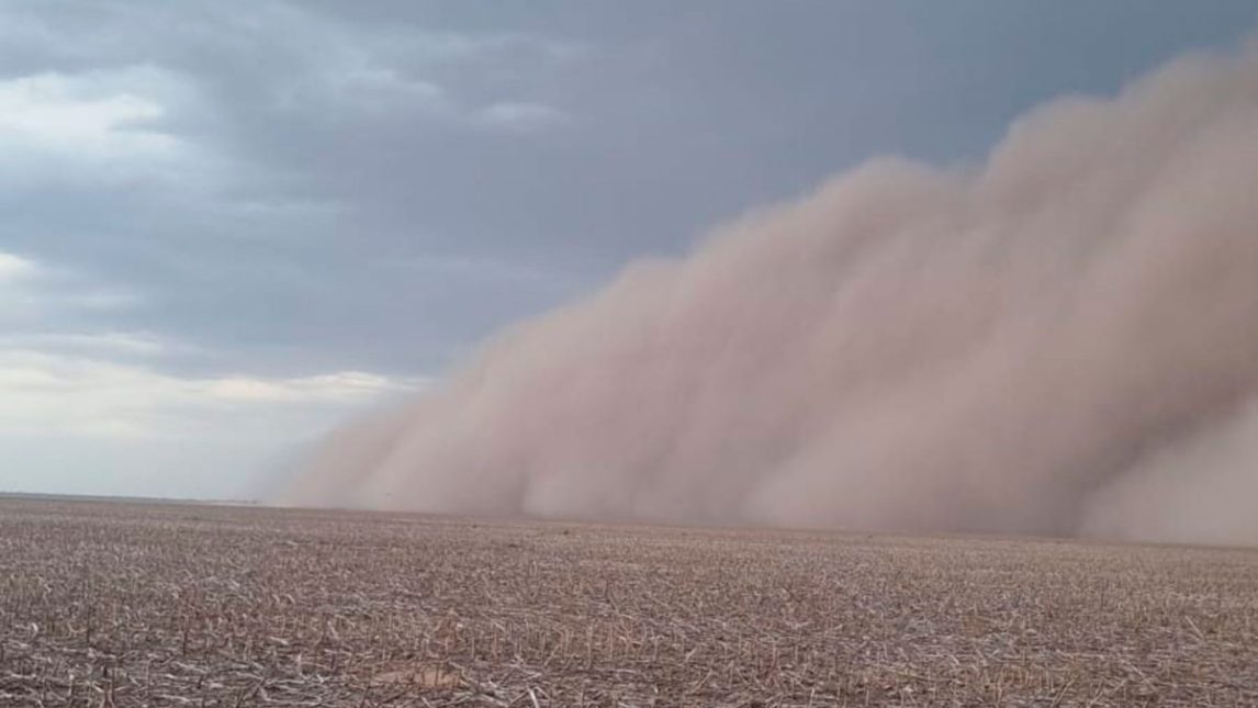 Un experto analizó las causas y consecuencias de la impactante Tormenta de Suelo en Sachayoj