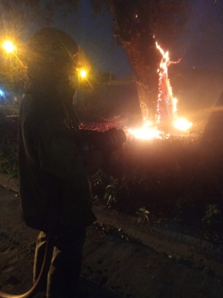 B° Primera Junta: un eucalipto se prendió fuego y corre riesgo de caer sobre el tendido eléctrico